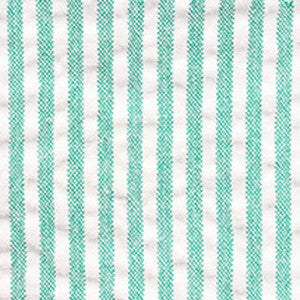 SUIT SEPARATES - Mint Julep Green Seersucker Suit - Haspel