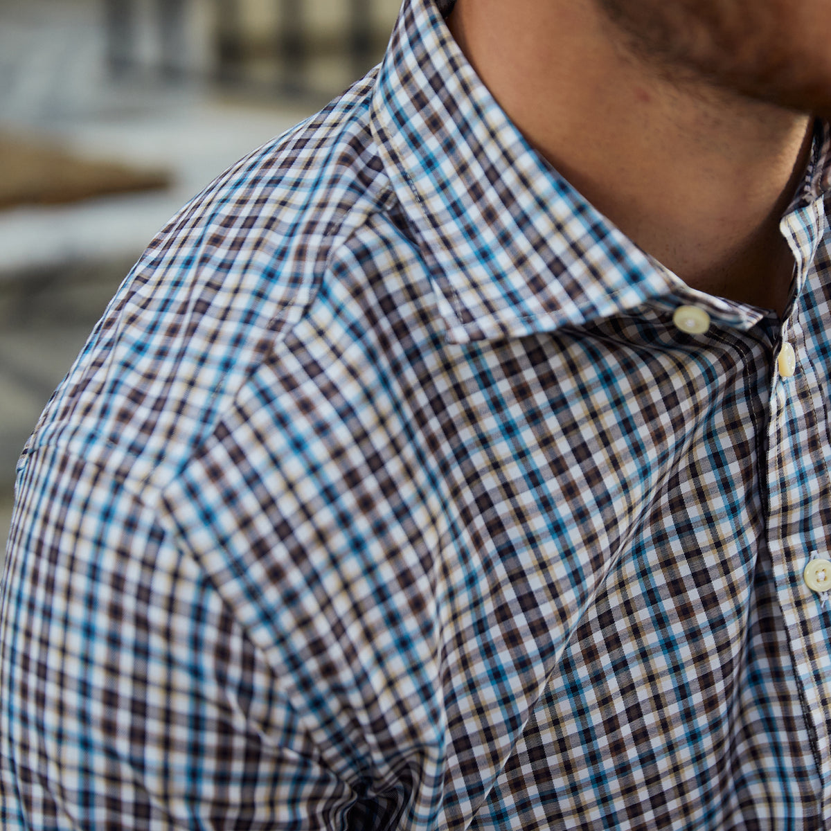 Audubon Brown Aqua Check