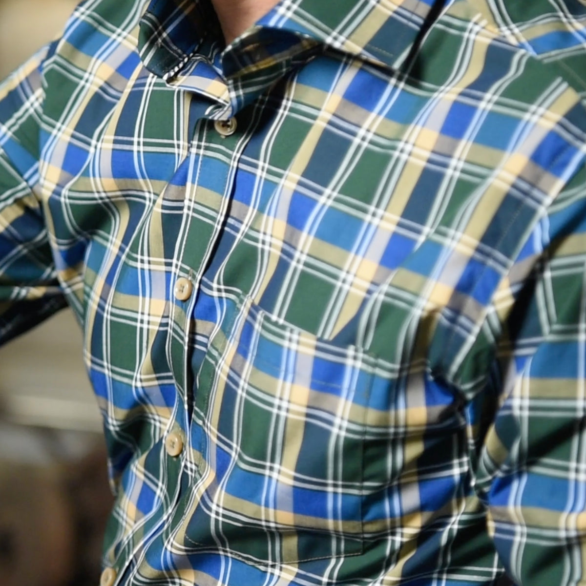 Audubon Forest Green &amp; Blue Plaid